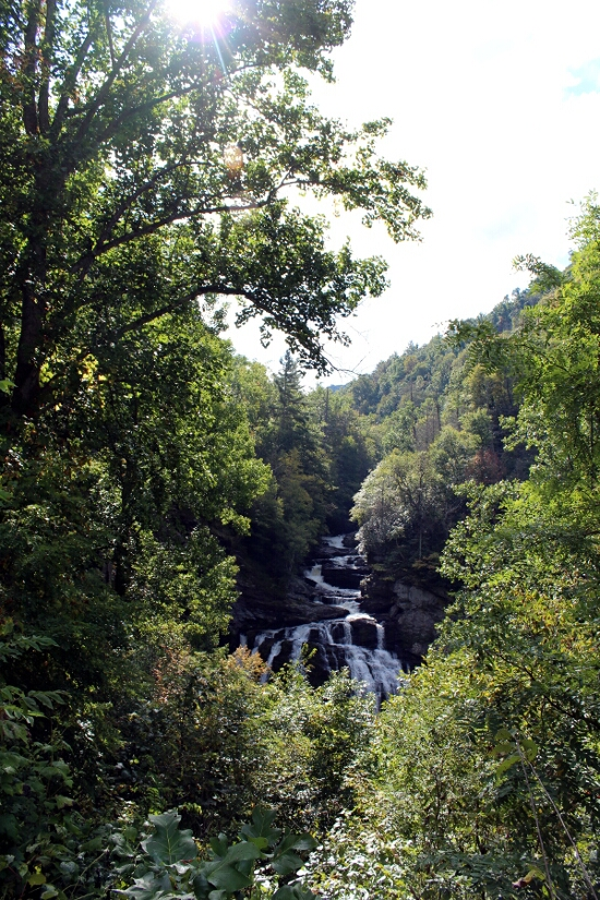 North Carolina Falls Through Trees