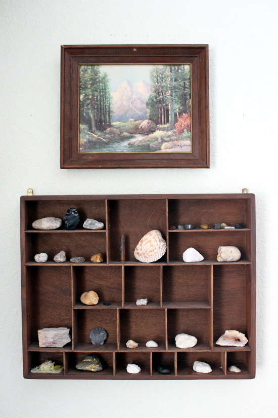 displaying rock collection